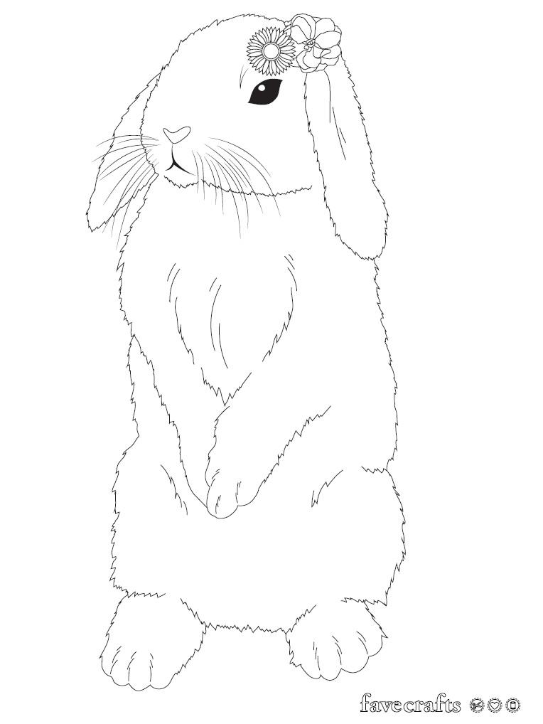 #1 Bunny Coloring Pictures