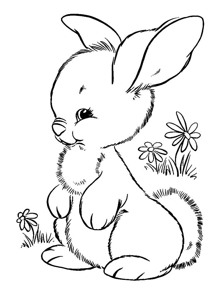 #1 Bunny Picture To Color