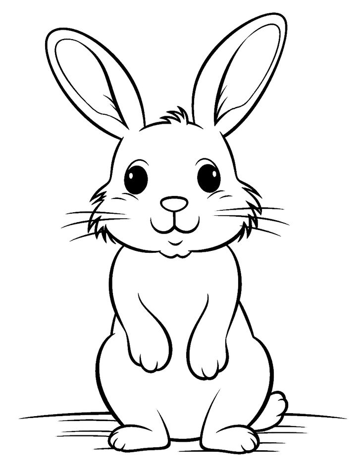 #1 Bunny Pictures To Color