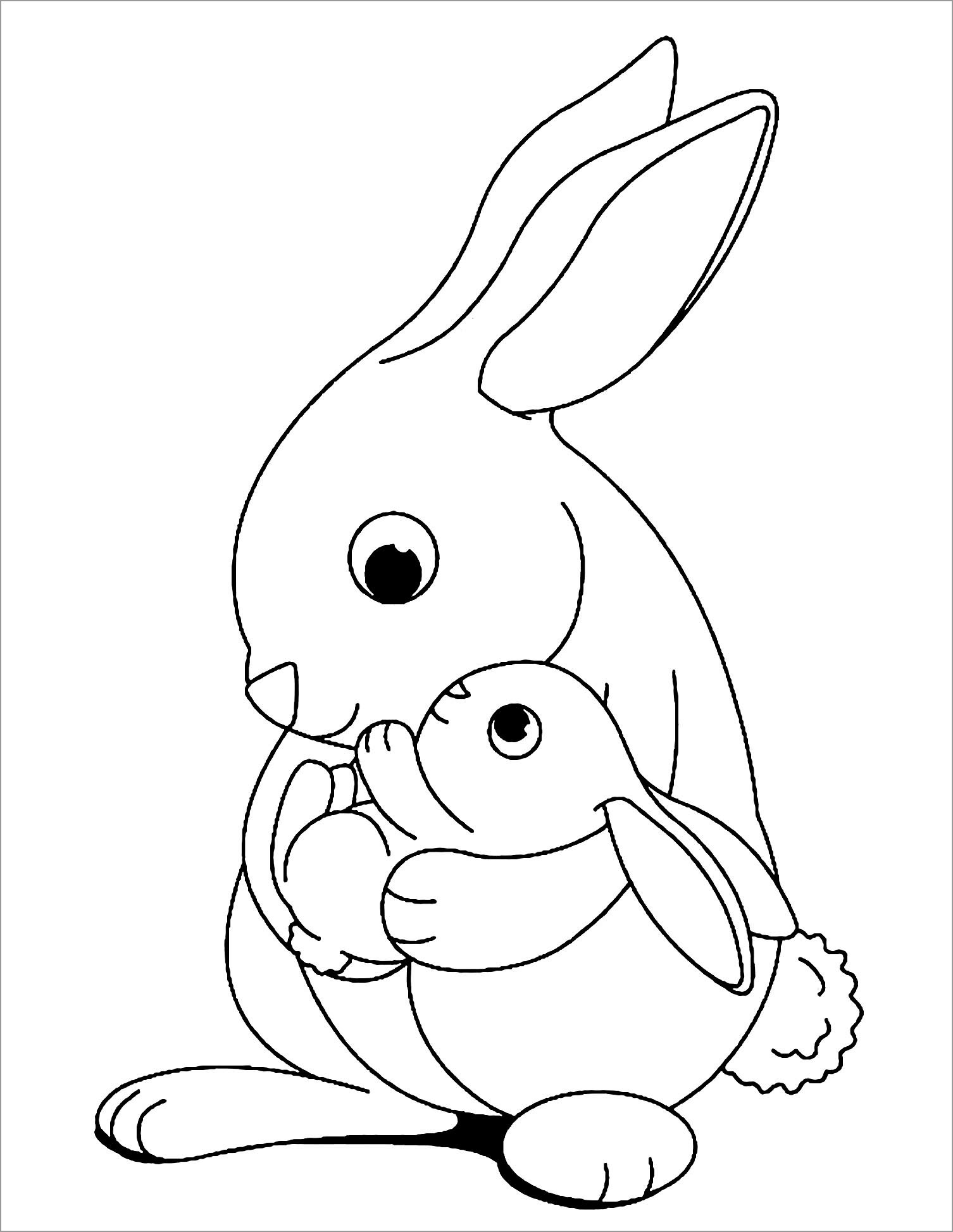 #1 Bunny Rabbit Colouring Pictures