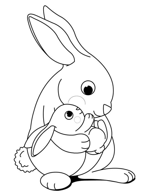 #1 Coloring A Rabbit