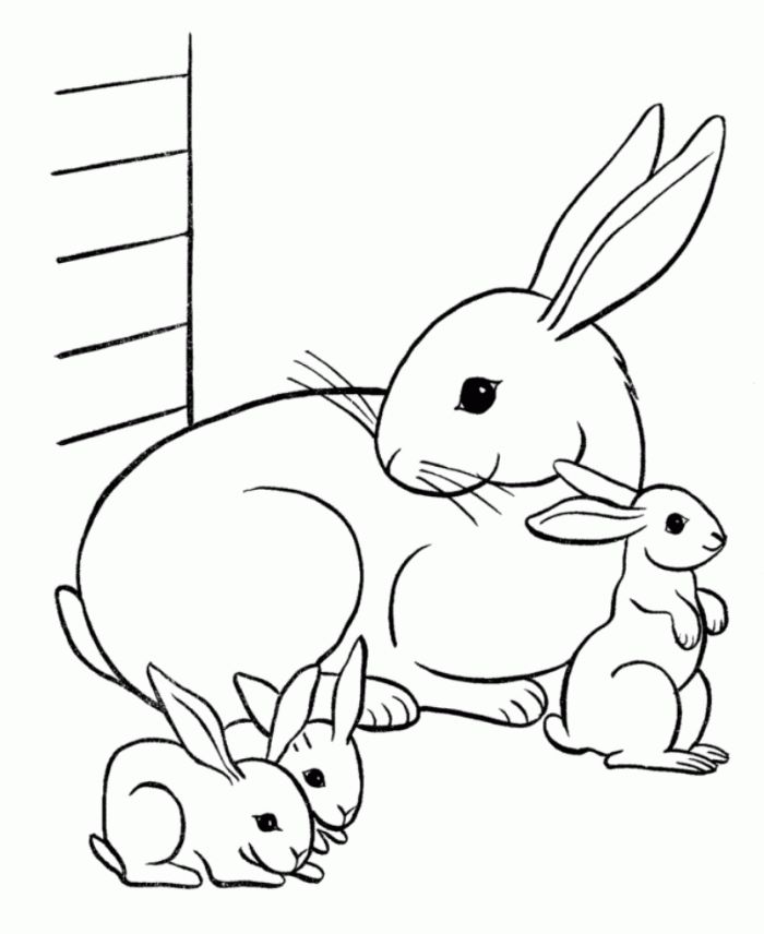 #1 Coloring Sheet Bunny