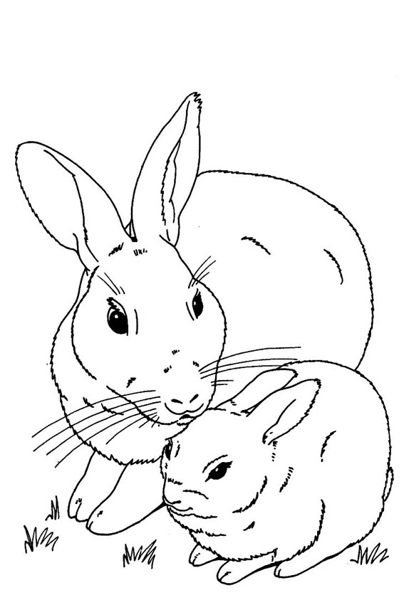 #1 Colouring Pages Of Rabbit