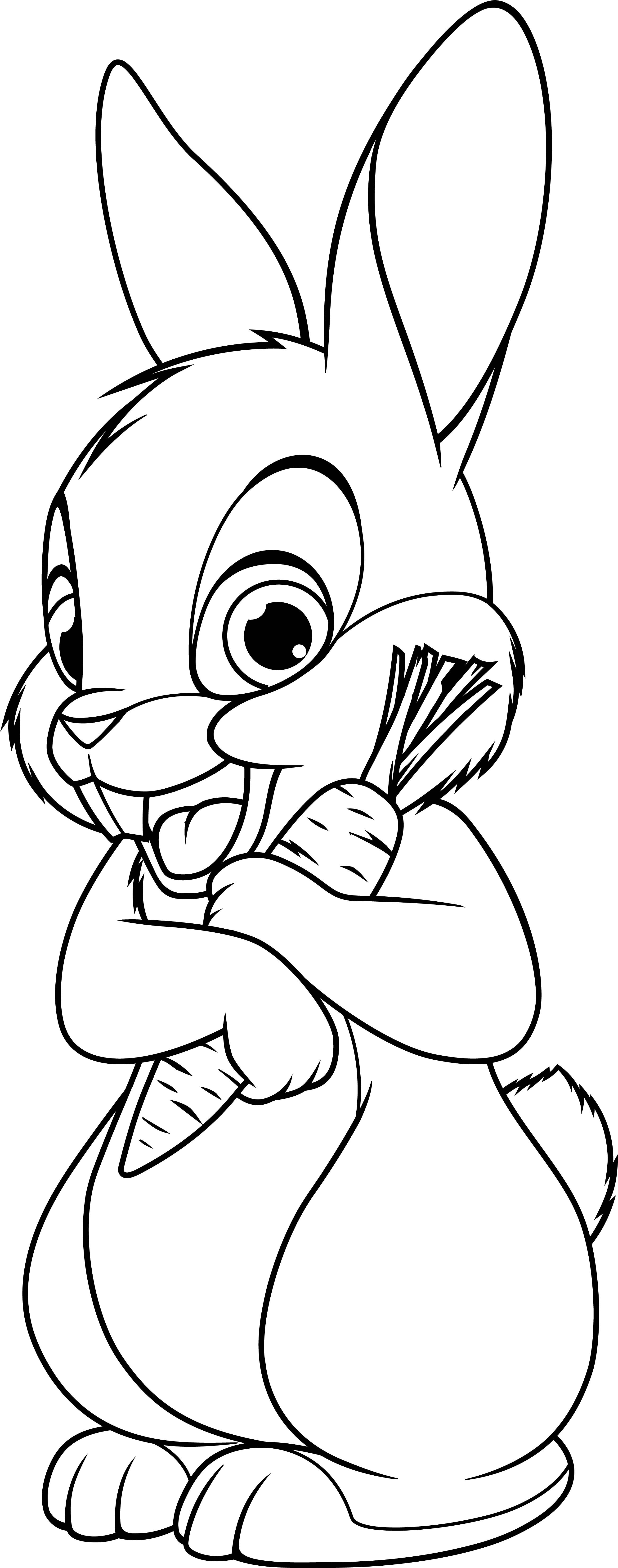 #1 Free Bunny Coloring Pages Printable