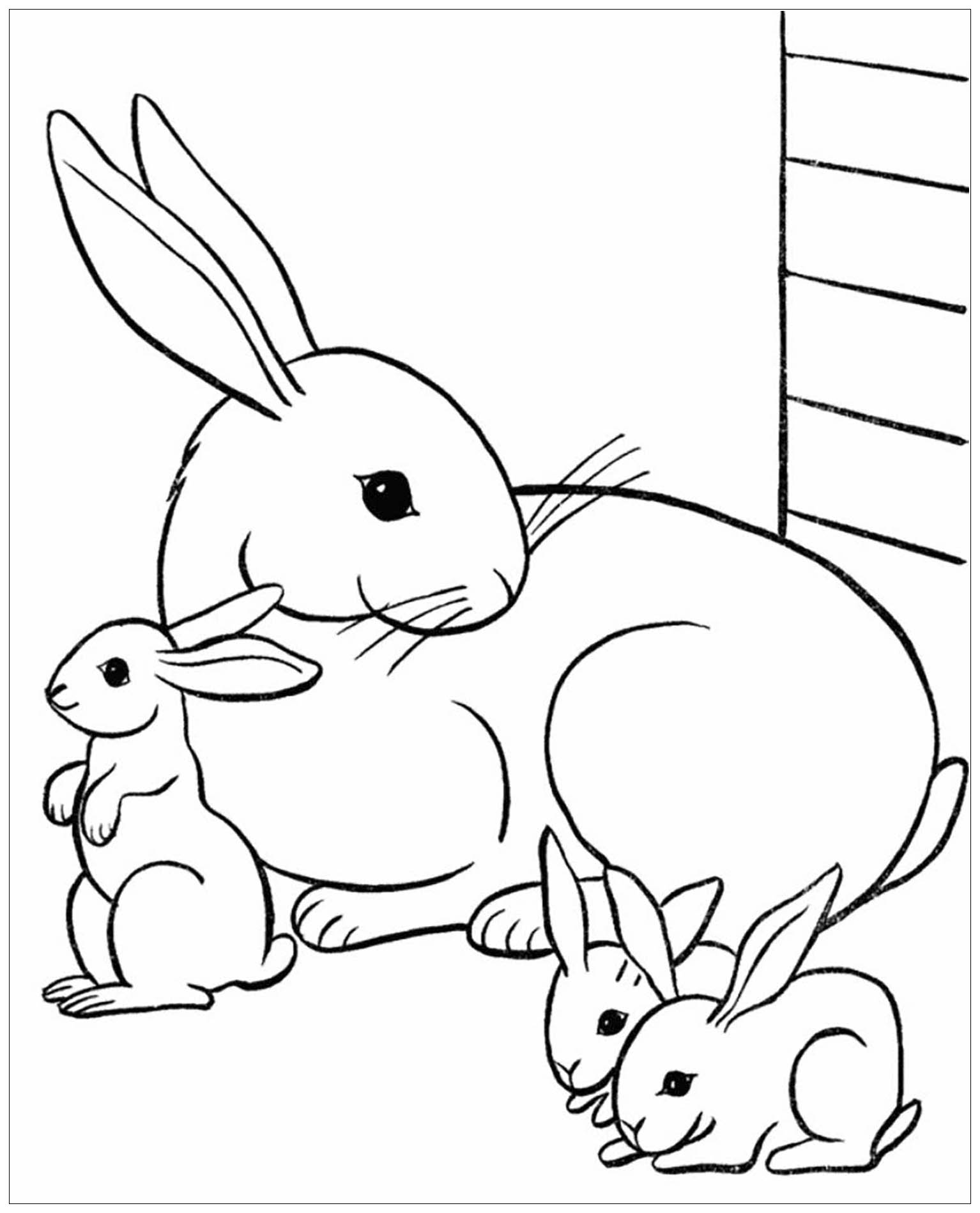 #1 Printable Coloring Pages Rabbits