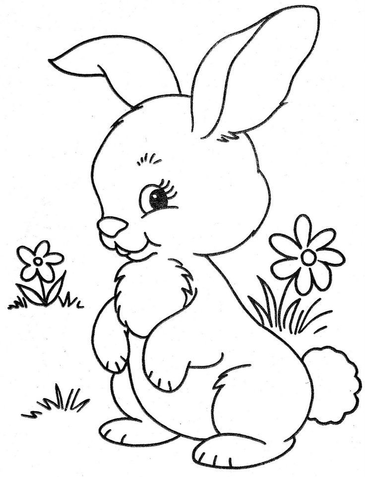 #1 Rabbit Print Out