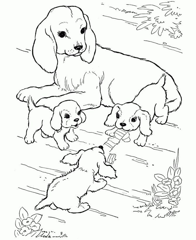 angel dog coloring pages