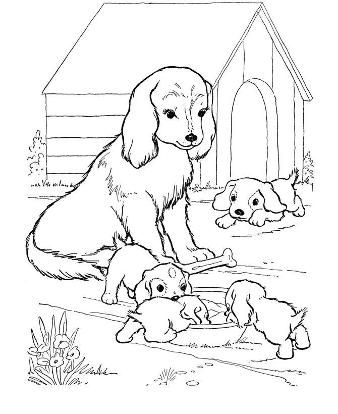 angry dog coloring pages