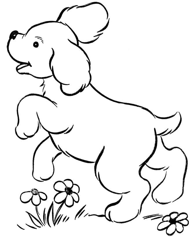 army dog coloring pages