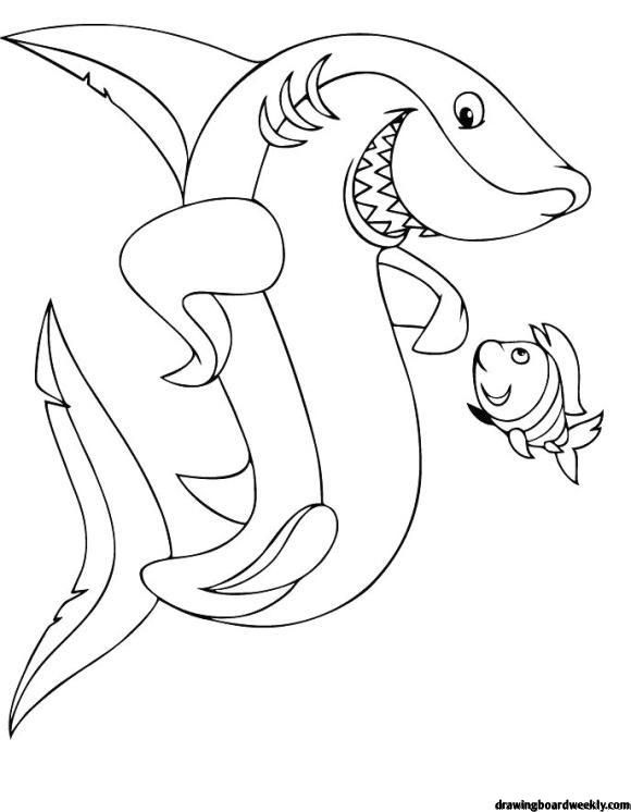 Baby Shark Dududu Coloring Pages Printables 123