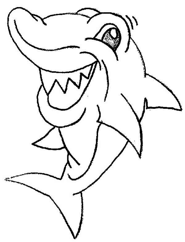 Baby Shark Dududu Coloring Pages Printables 41