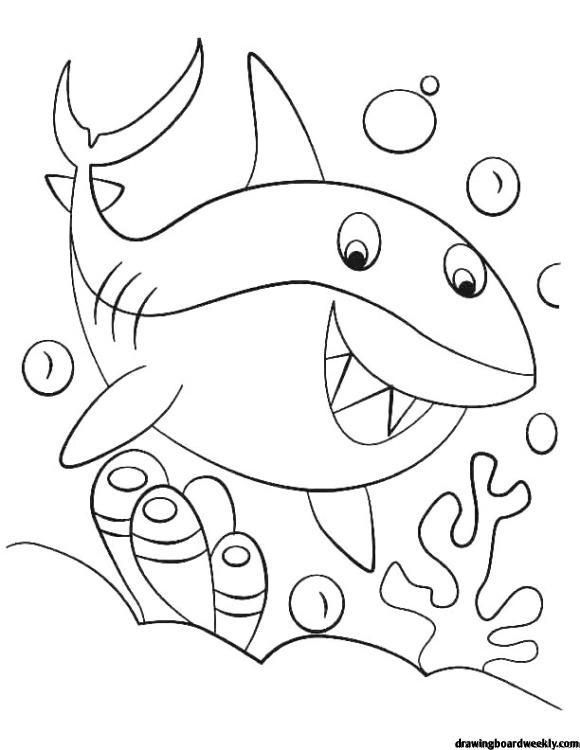 Baby Shark Dududu Coloring Pages Printables 91