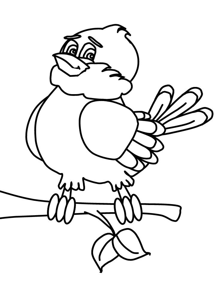 Bird Coloring Pages for Kids Printables 10