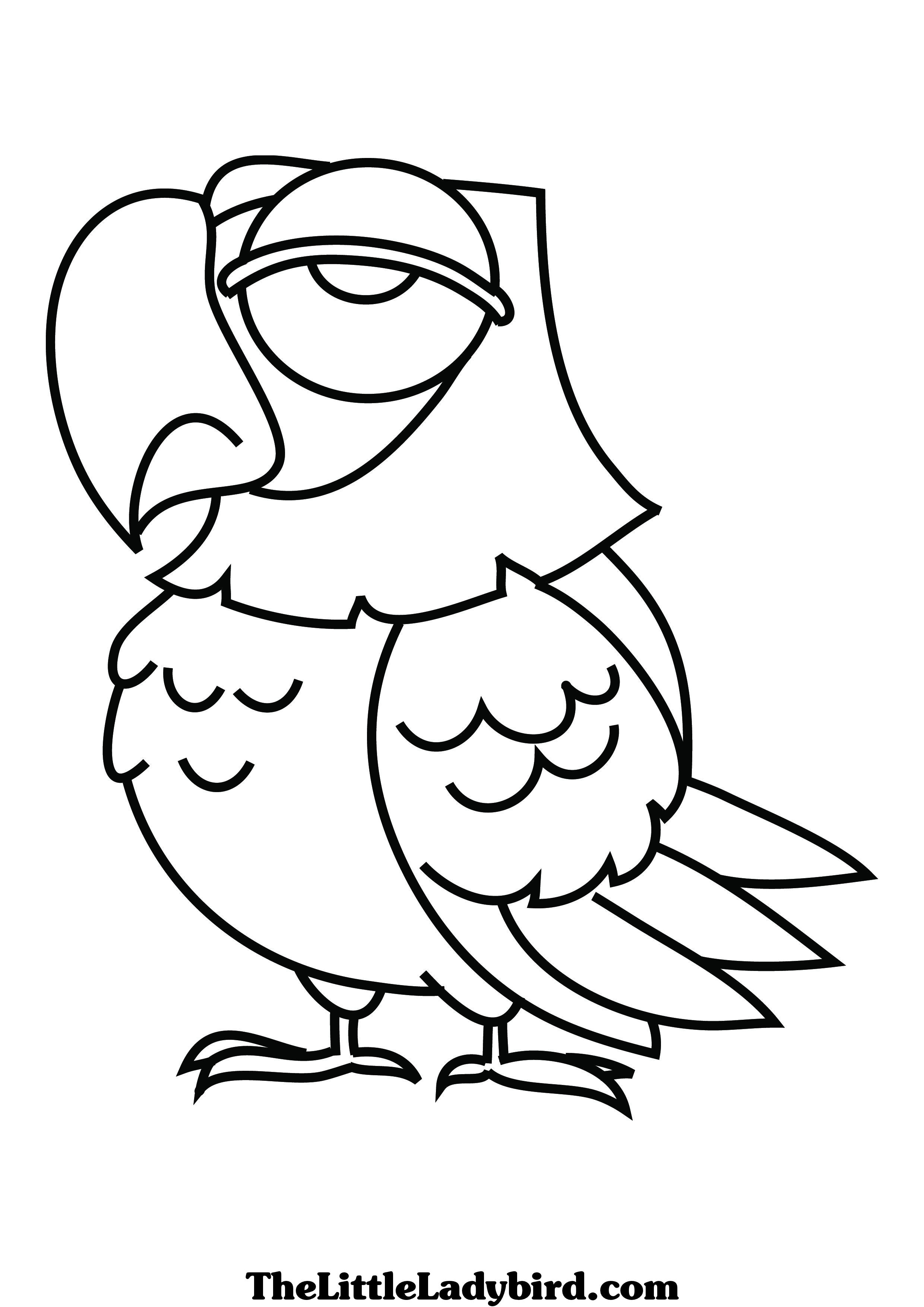 Bird Coloring Pages for Kids Printables 100