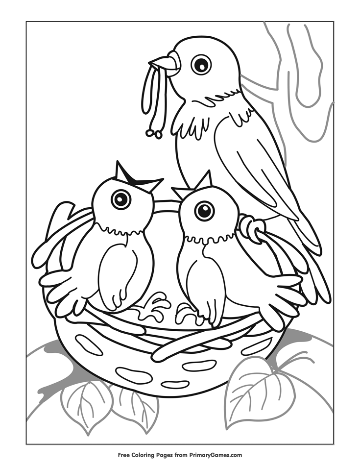 Bird Coloring Pages for Kids Printables 102