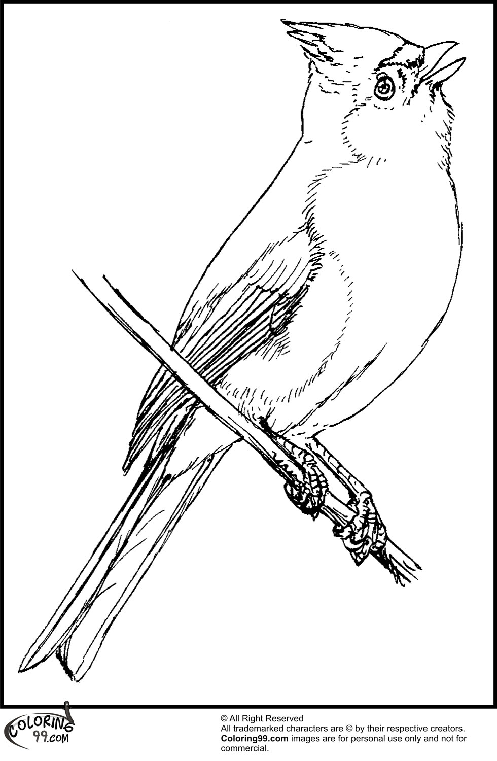 Bird Coloring Pages for Kids Printables 103