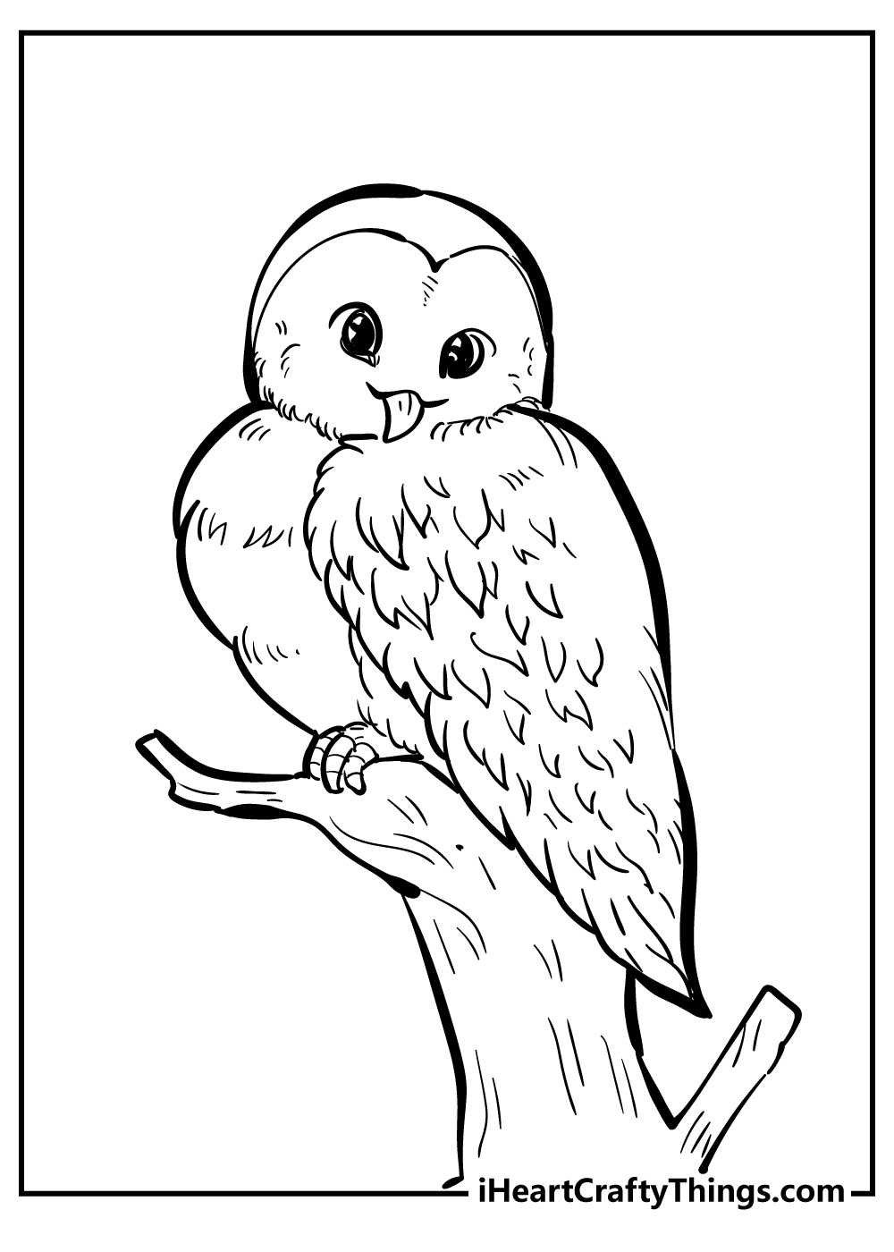 Bird Coloring Pages for Kids Printables 104