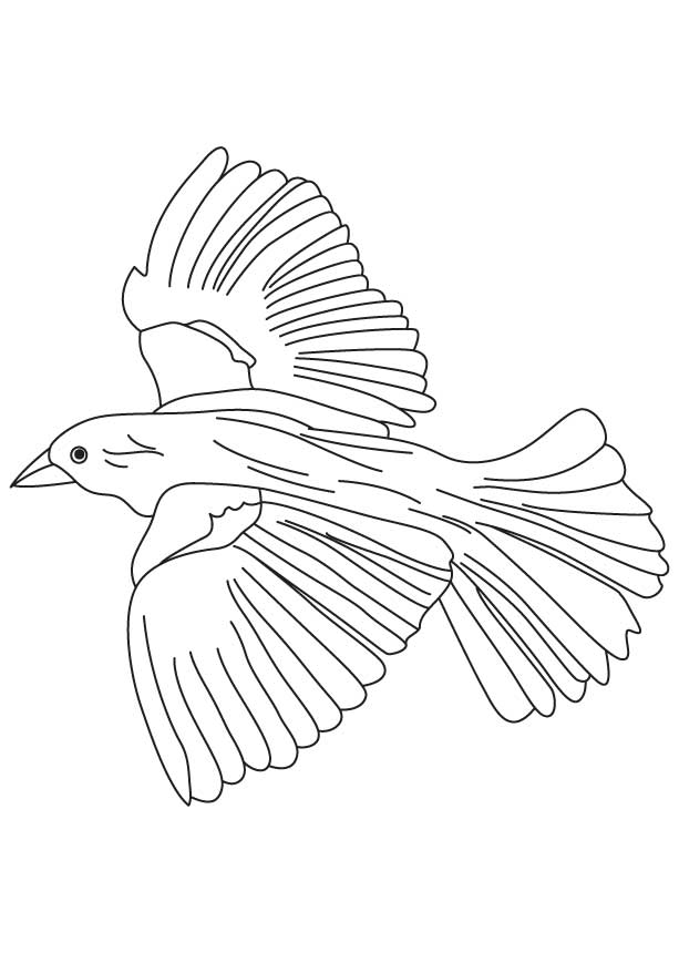 Bird Coloring Pages for Kids Printables 109