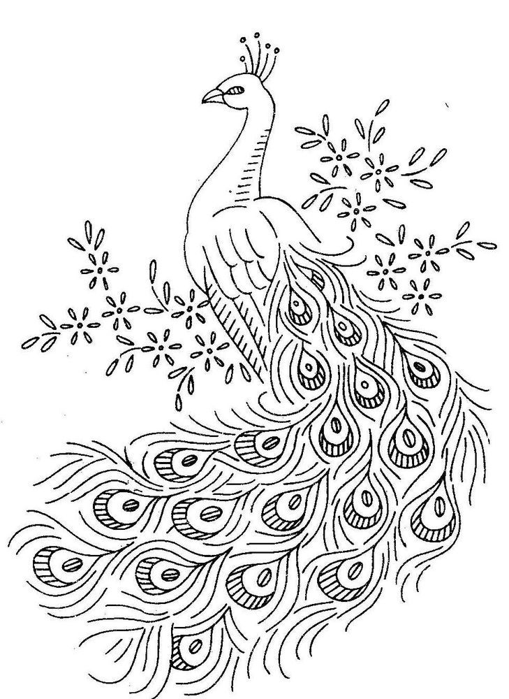 Bird Coloring Pages for Kids Printables 11