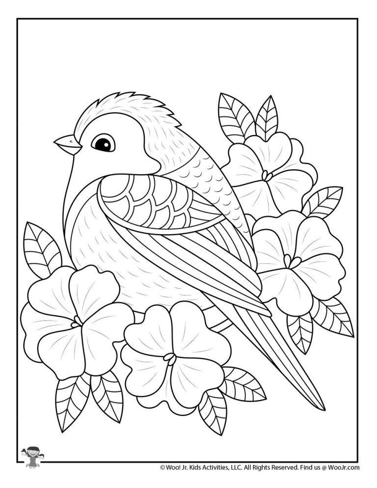 Bird Coloring Pages for Kids Printables 116