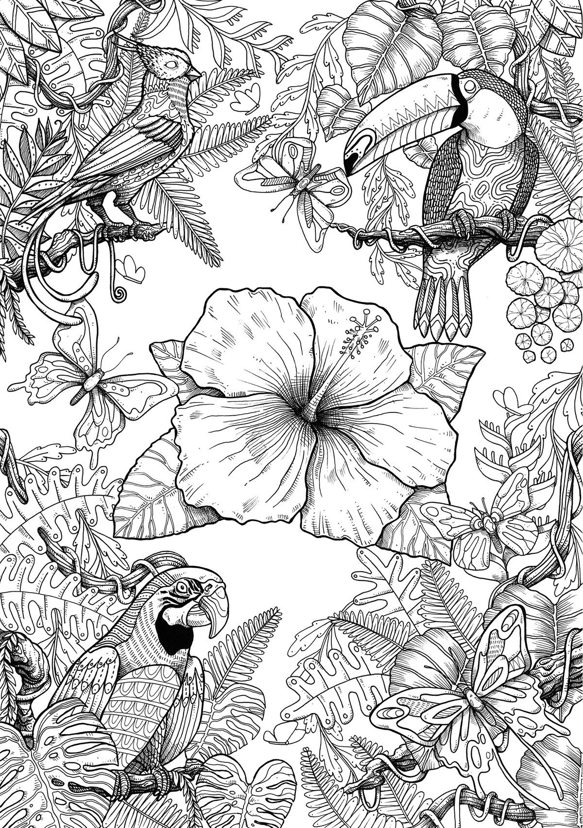 Bird Coloring Pages for Kids Printables 117