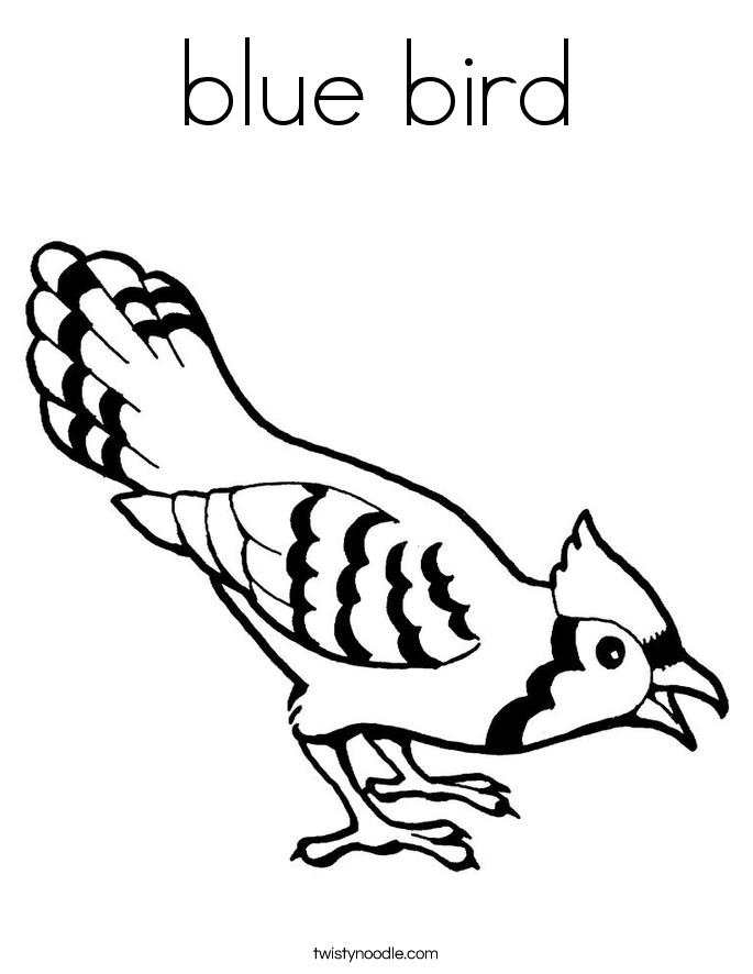 Bird Coloring Pages for Kids Printables 12