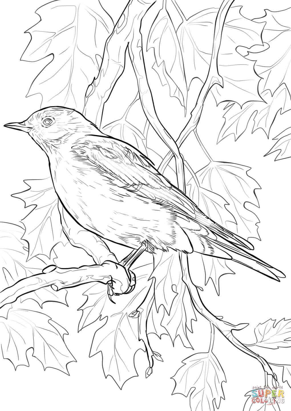 Bird Coloring Pages for Kids Printables 124