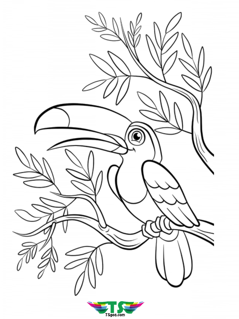 Bird Coloring Pages for Kids Printables 125