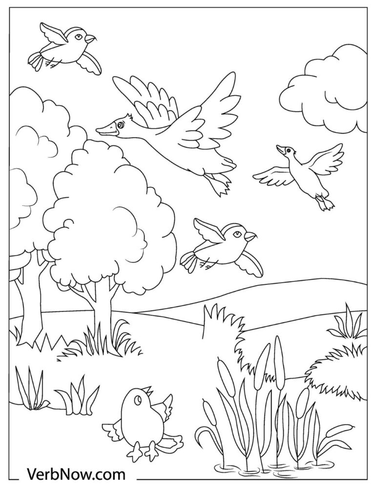 Bird Coloring Pages for Kids Printables 131