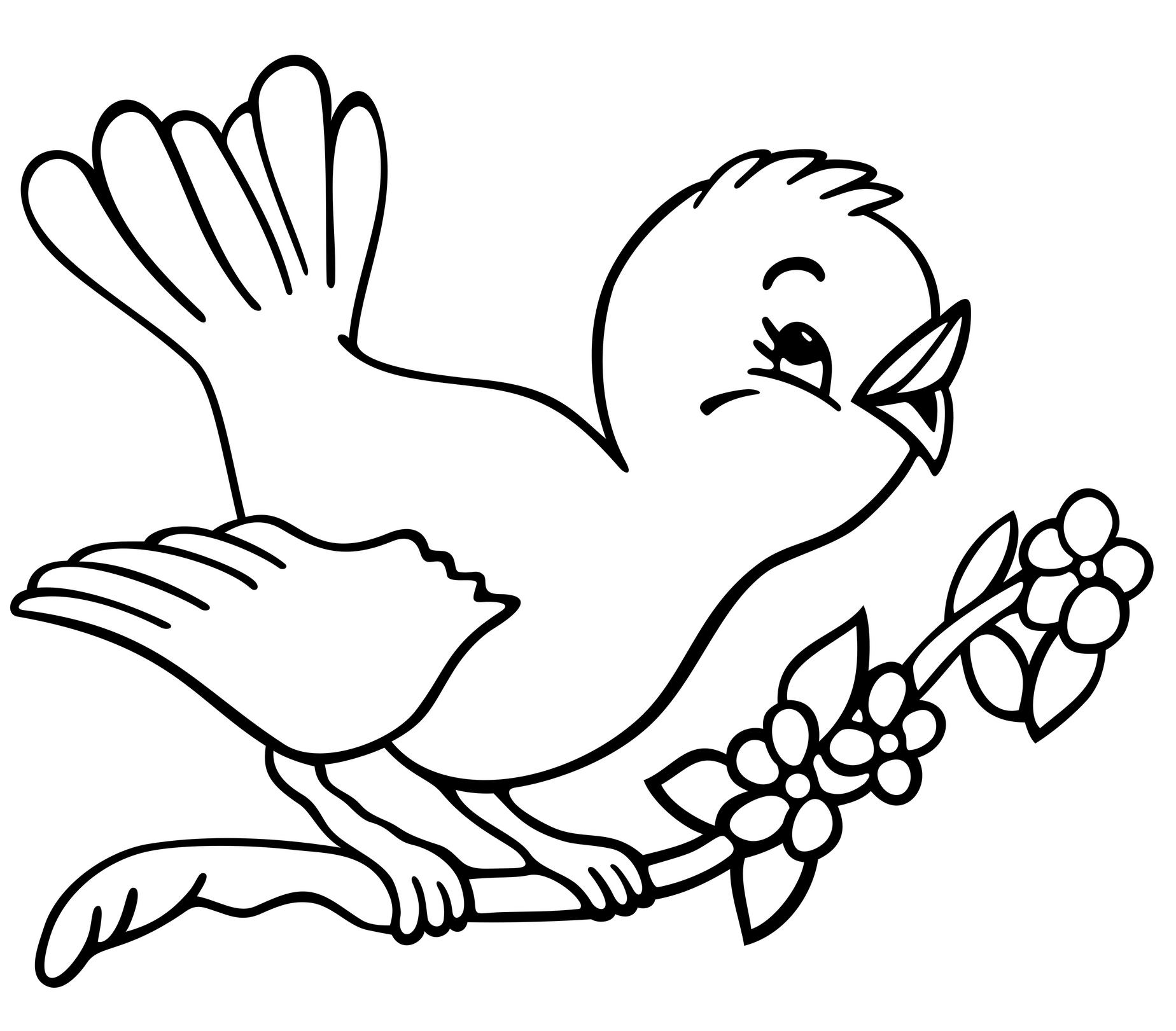 Bird Coloring Pages for Kids Printables 14