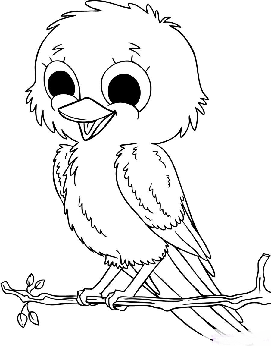 Bird Coloring Pages for Kids Printables 16