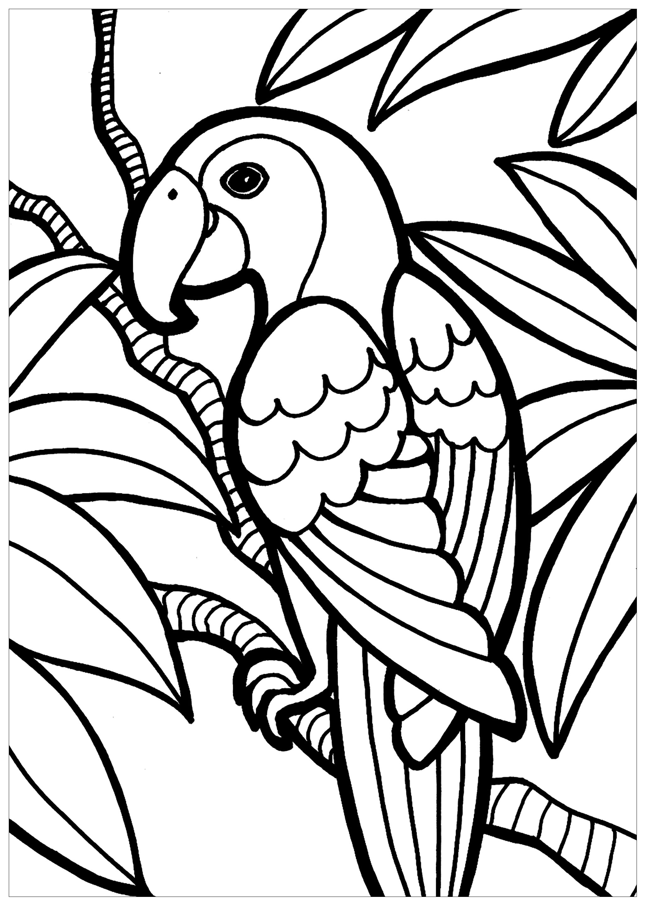 Bird Coloring Pages for Kids Printables 18