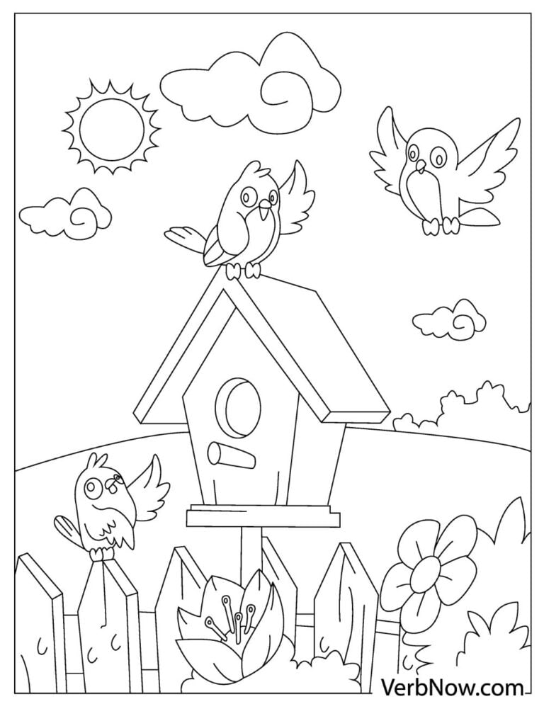 Bird Coloring Pages for Kids Printables 27