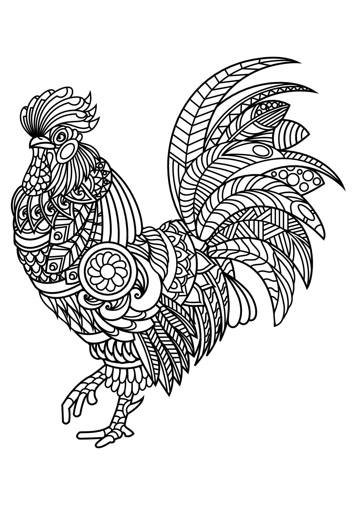 Bird Coloring Pages for Kids Printables 31