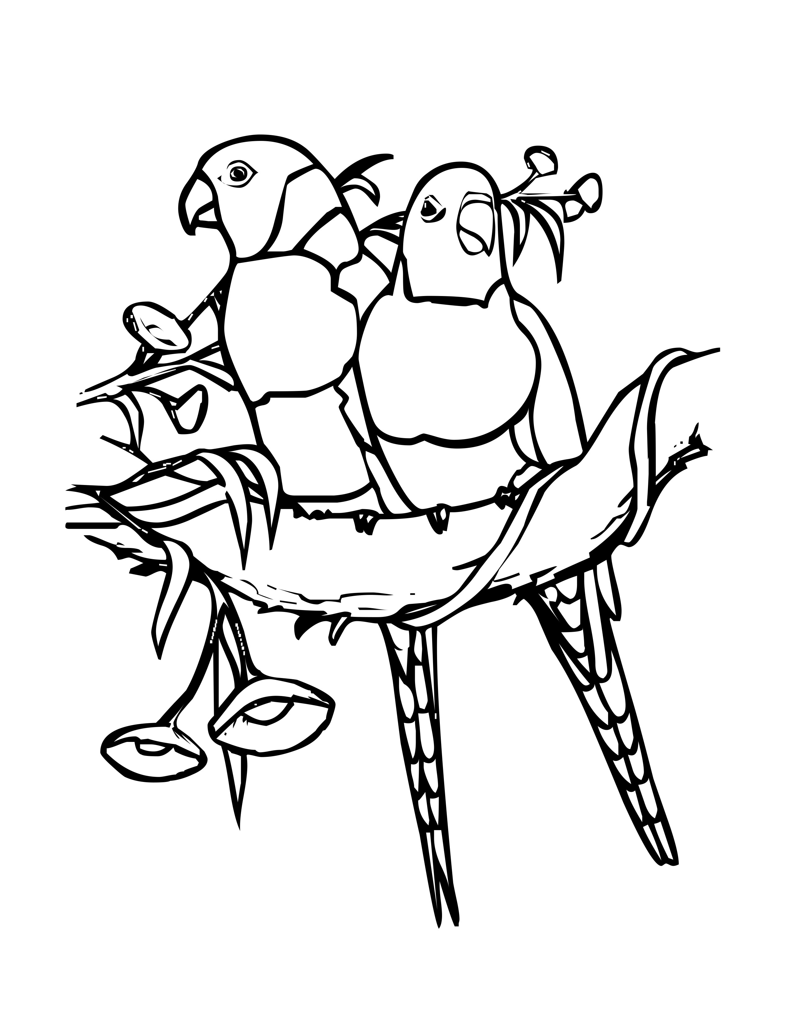 Bird Coloring Pages for Kids Printables 38