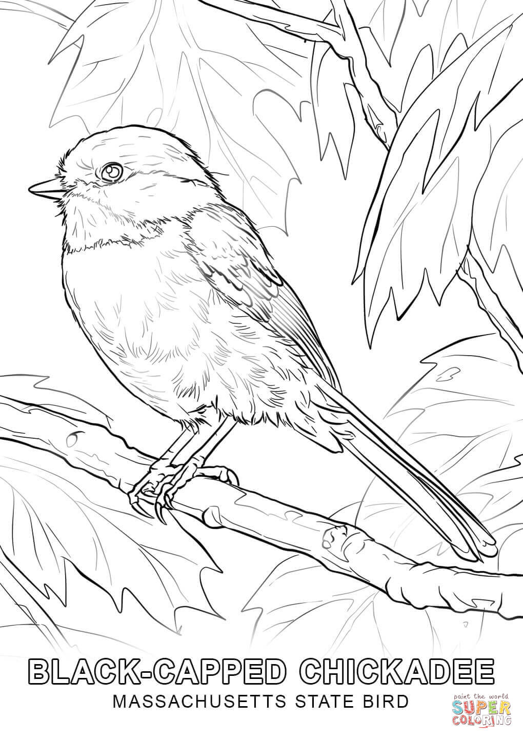 Bird Coloring Pages for Kids Printables 42