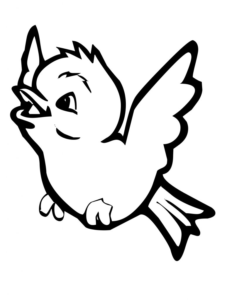 Bird Coloring Pages for Kids Printables 45