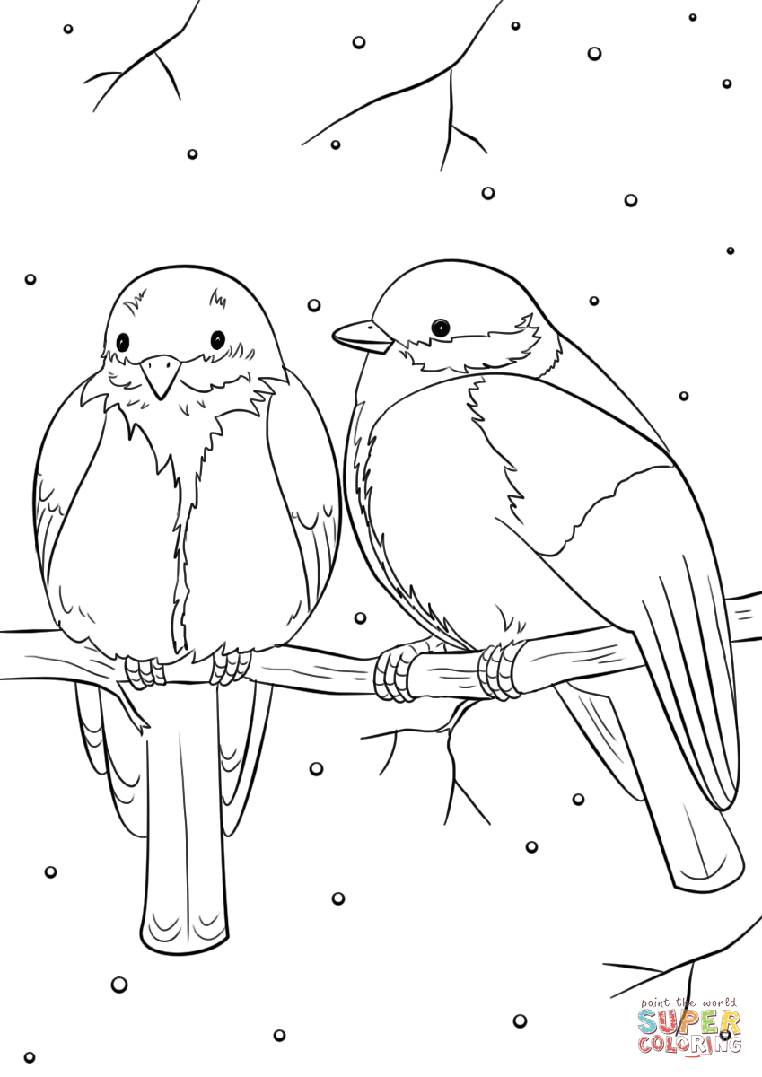 Bird Coloring Pages for Kids Printables 46