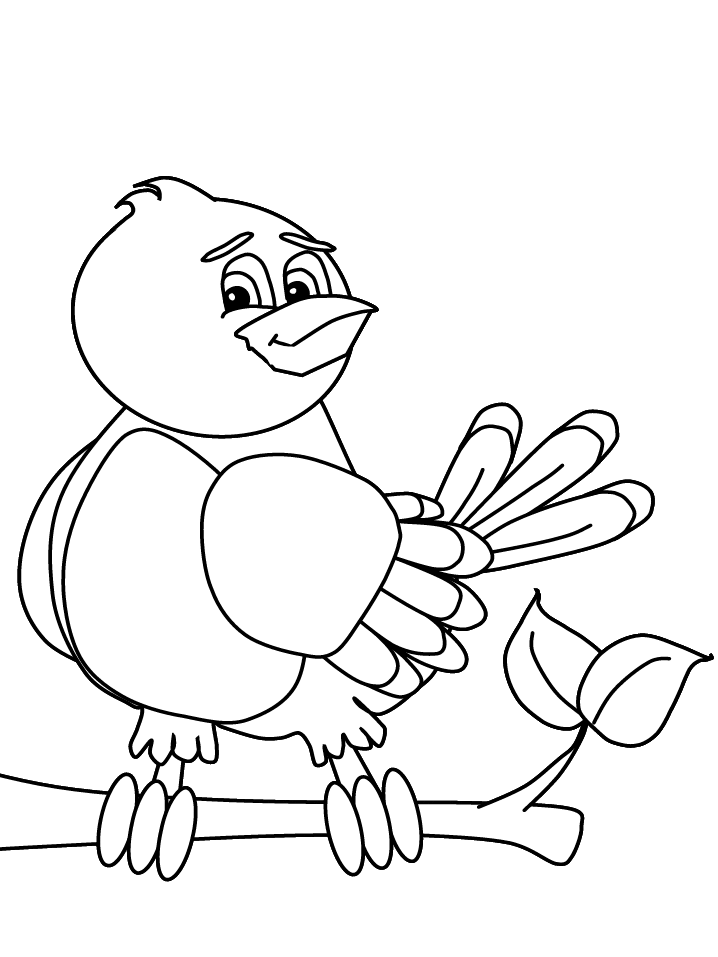 Bird Coloring Pages for Kids Printables 47