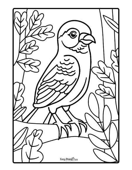 Bird Coloring Pages for Kids Printables 48