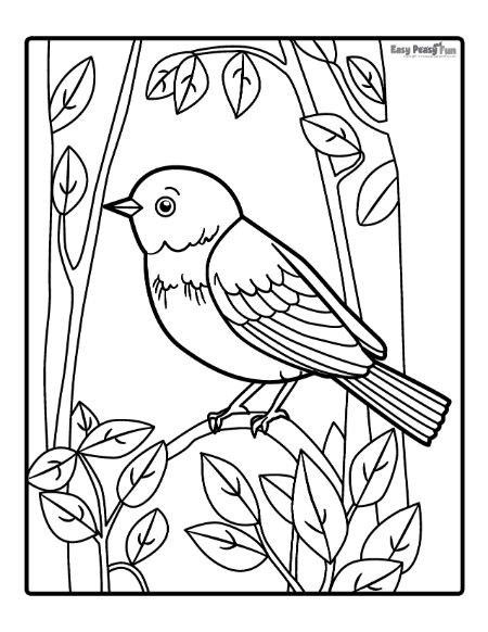 Bird Coloring Pages for Kids Printables 49