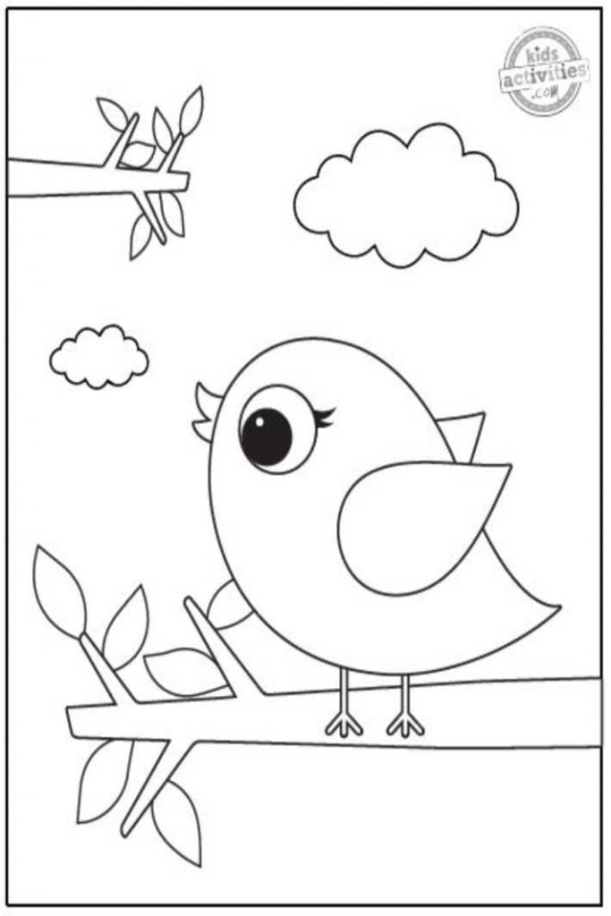 Bird Coloring Pages for Kids Printables 51