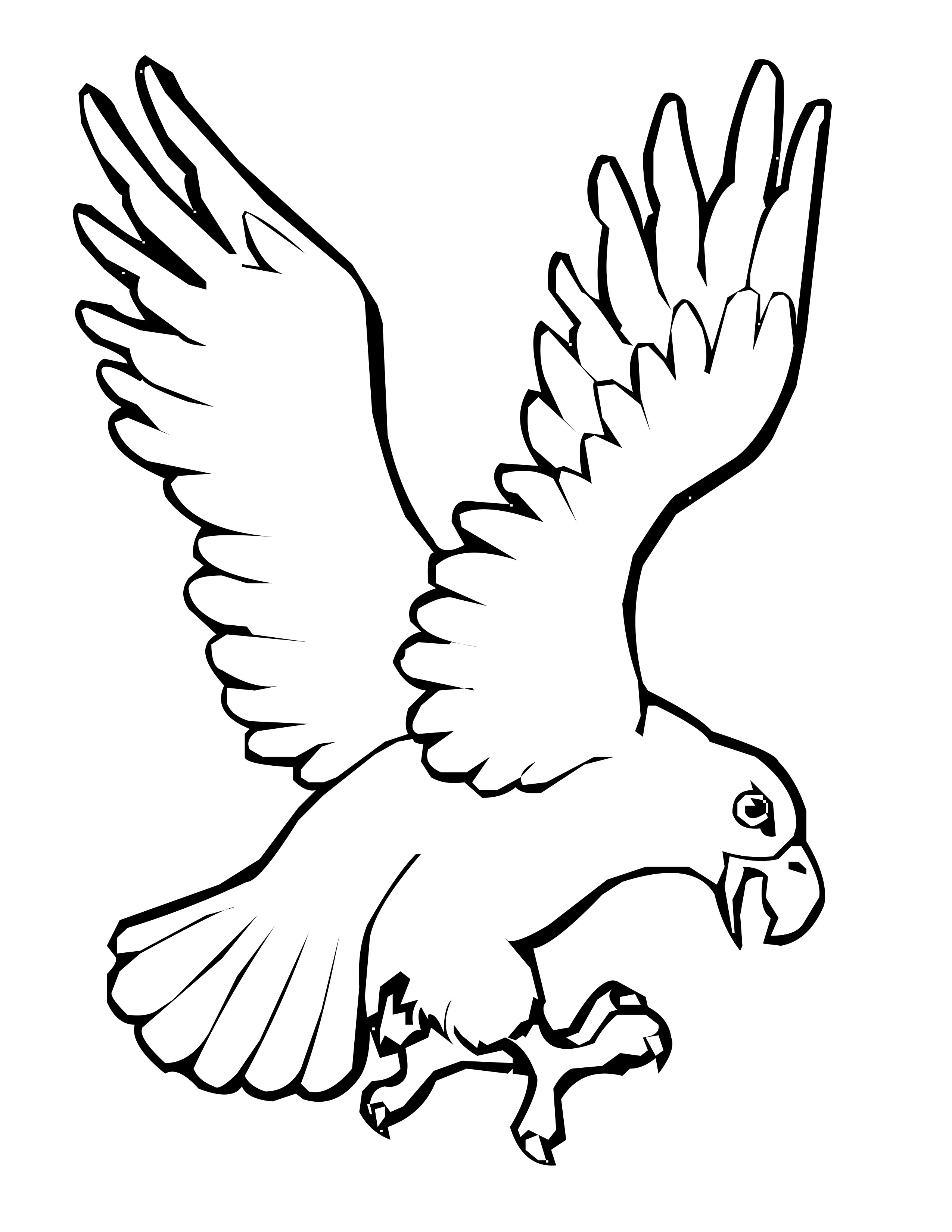 Bird Coloring Pages for Kids Printables 57