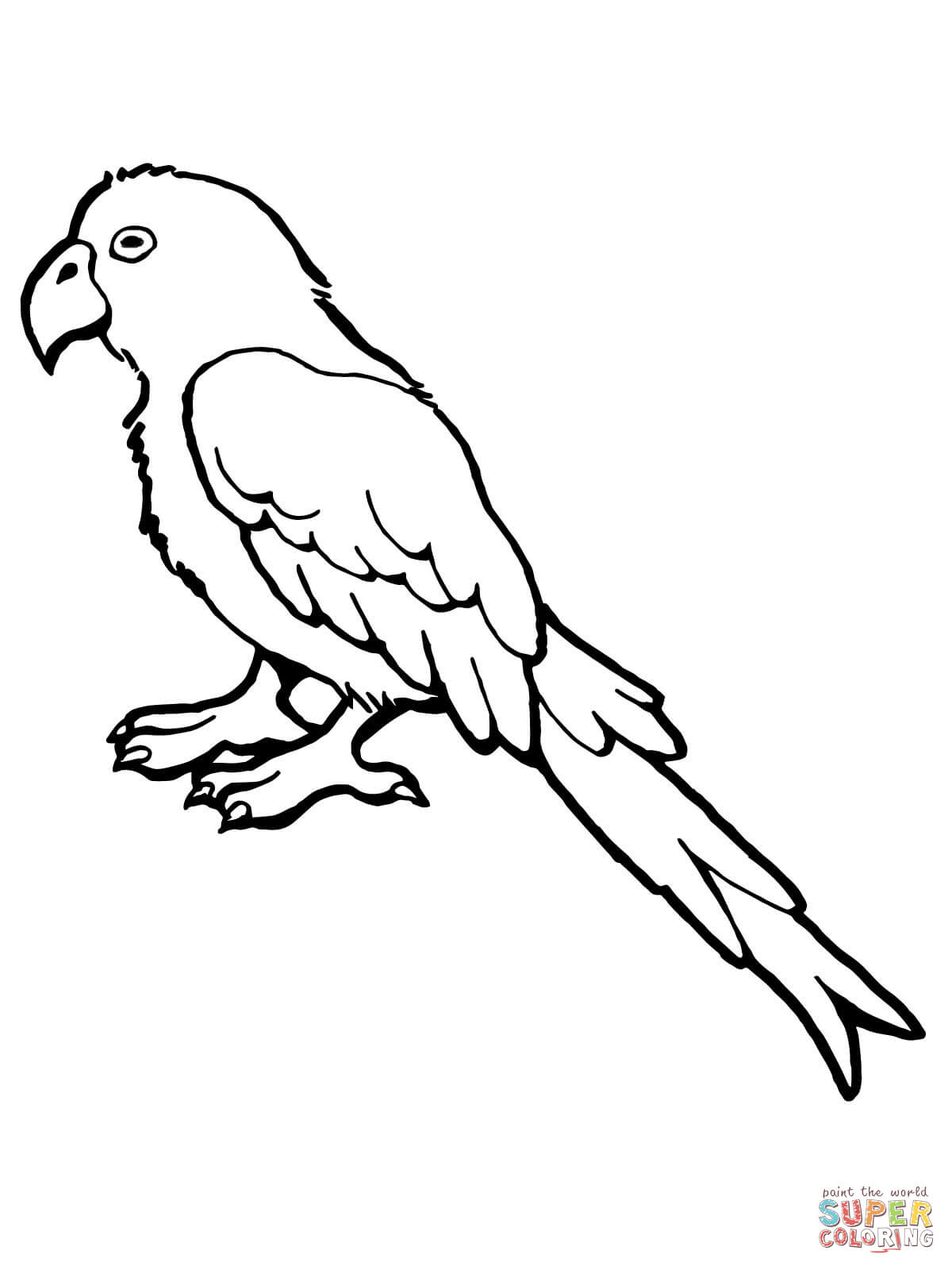 Bird Coloring Pages for Kids Printables 62