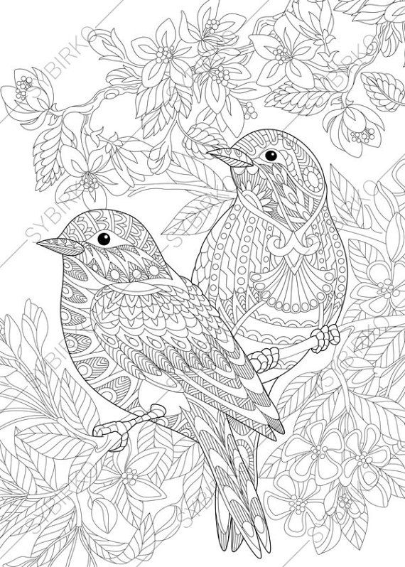 Bird Coloring Pages for Kids Printables 68