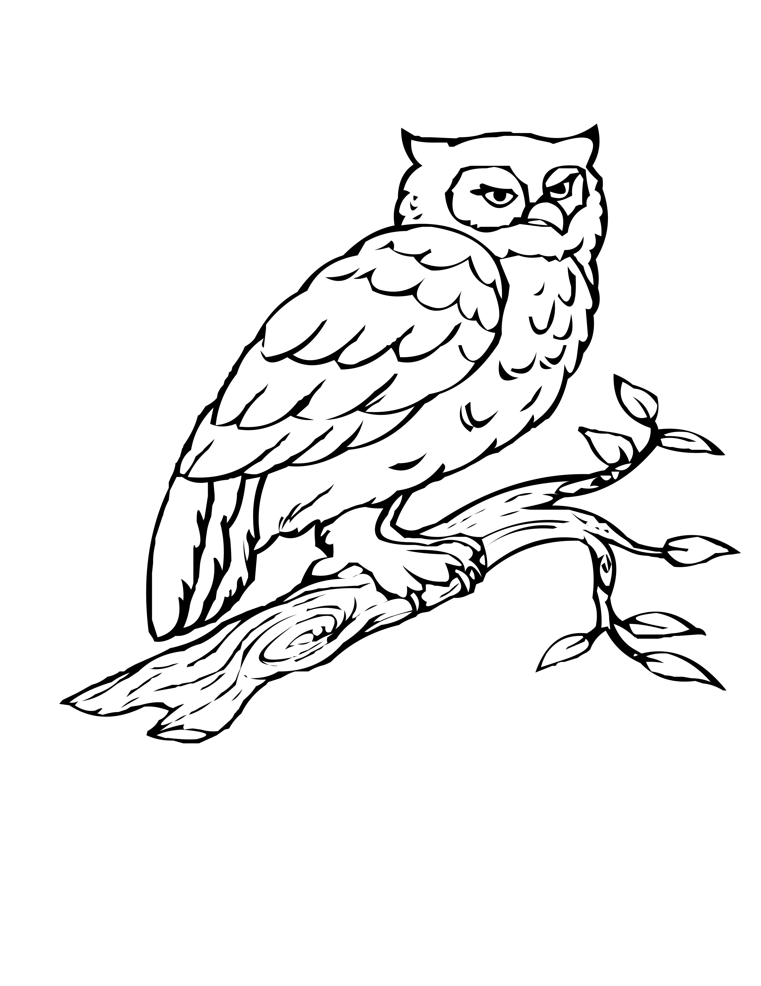 Bird Coloring Pages for Kids Printables 69