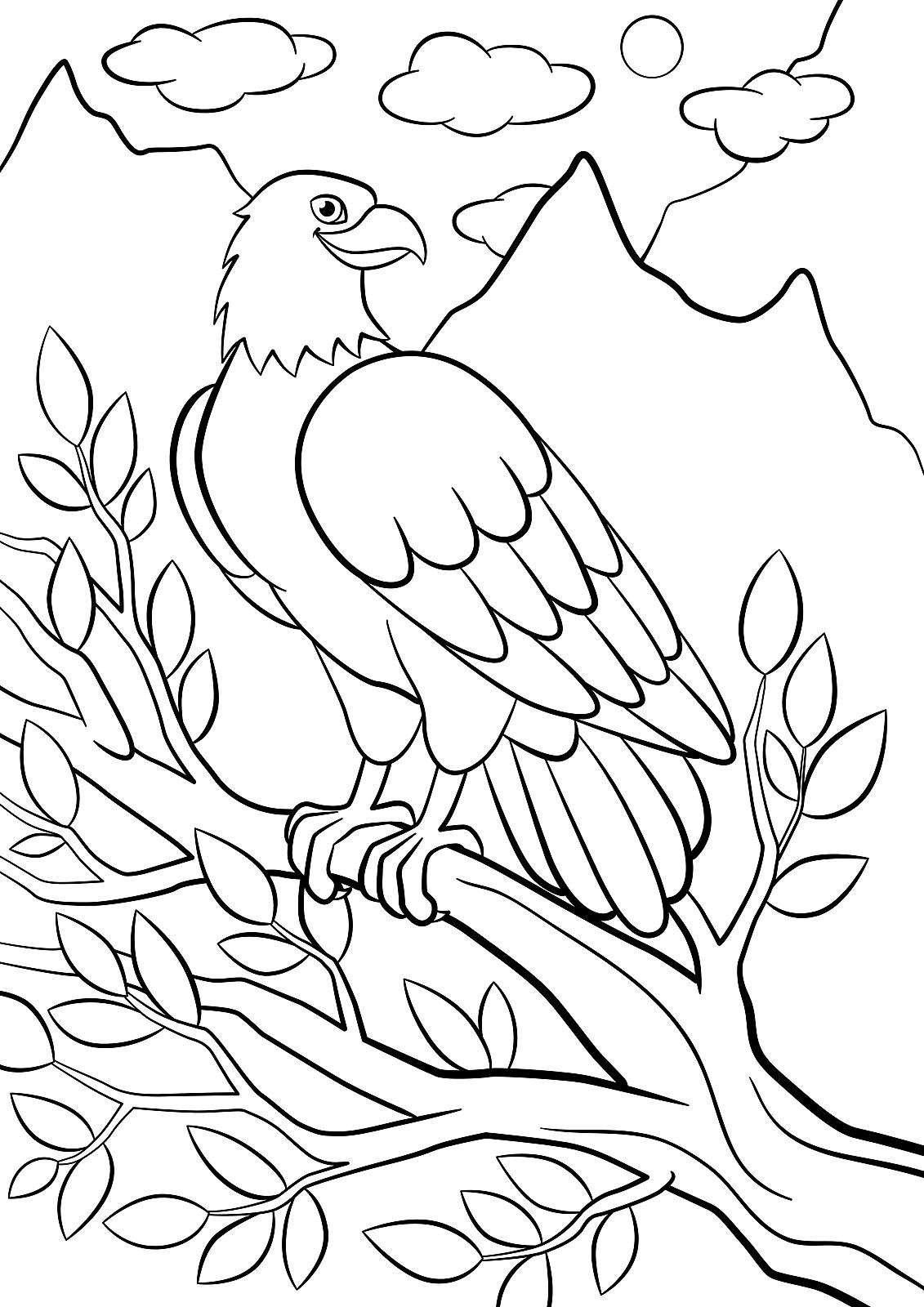 Bird Coloring Pages for Kids Printables 7