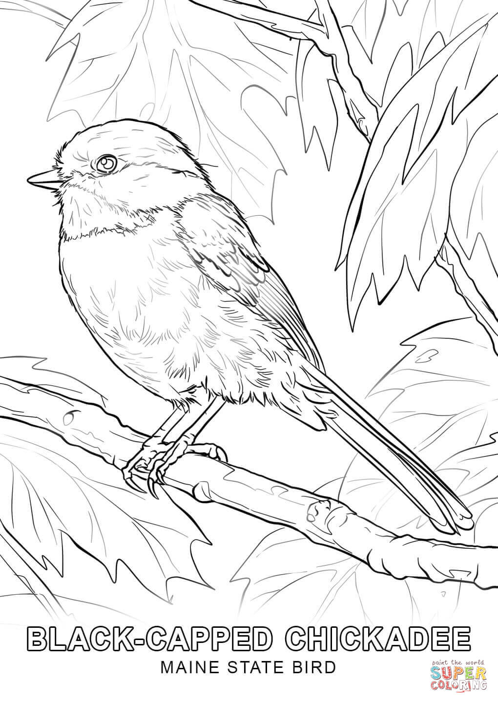 Bird Coloring Pages for Kids Printables 70