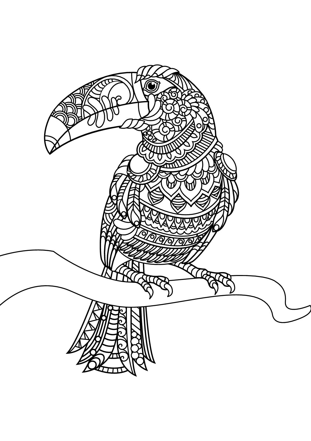 Bird Coloring Pages for Kids Printables 72