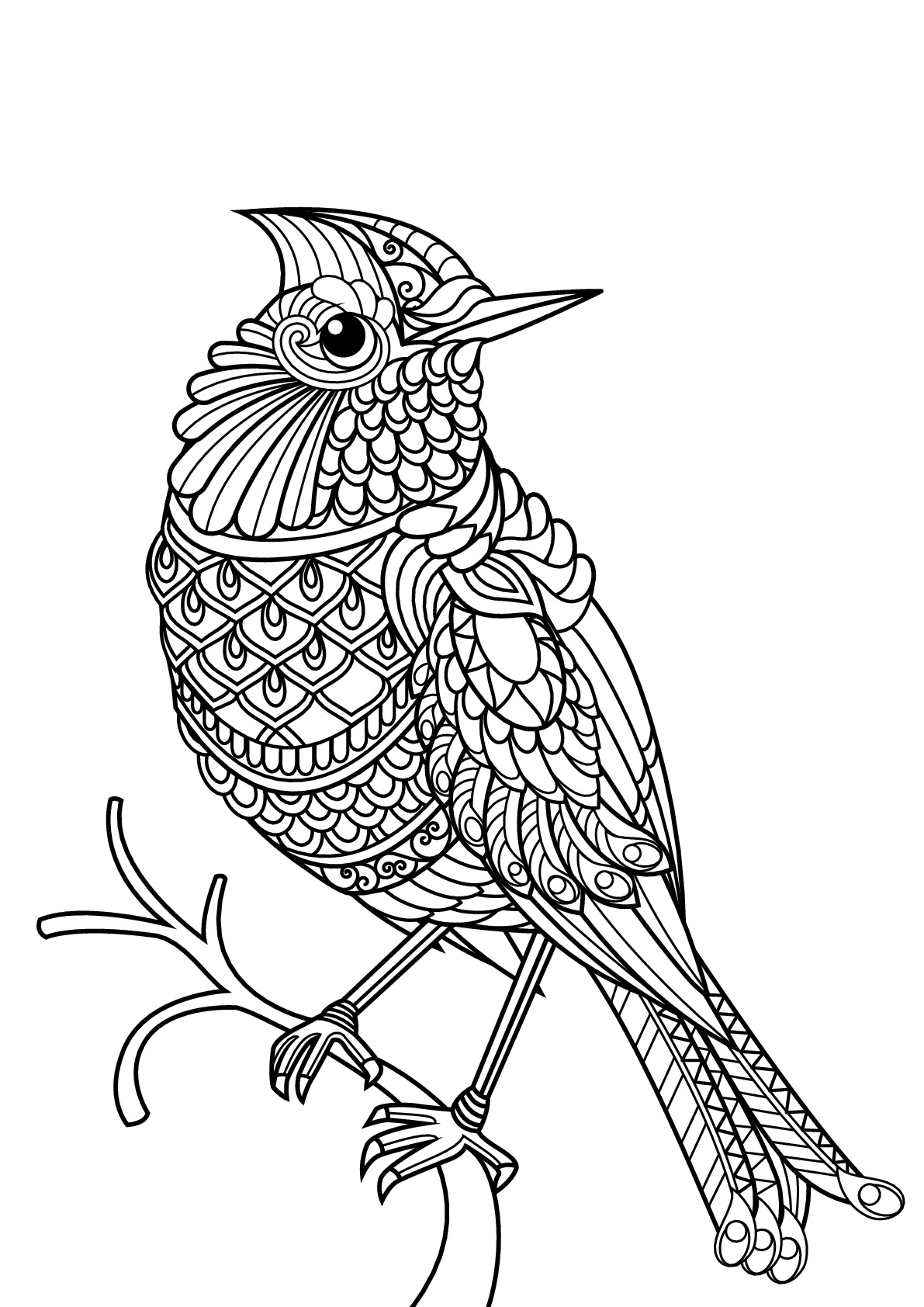 Bird Coloring Pages for Kids Printables 73